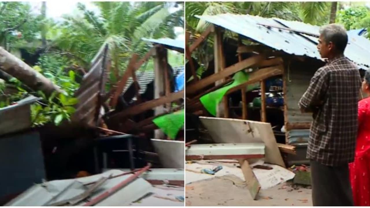 മഴയ്ക്കൊപ്പം ശക്തമായ കാറ്റ്, കശുമാവ് പിഴുതുവീണ് കൂര നിലംപൊത്തി; എന്തുചെയ്യുമെന്നറിയാതെ പ്രദീപും കുടുംബവും മഴയ്ക്കൊപ്പം ശക്തമായ കാറ്റ്, കശുമാവ് പിഴുതുവീണ് കൂര നിലംപൊത്തി; എന്തുചെയ്യുമെന്നറിയാതെ പ്രദീപും കുടുംബവും