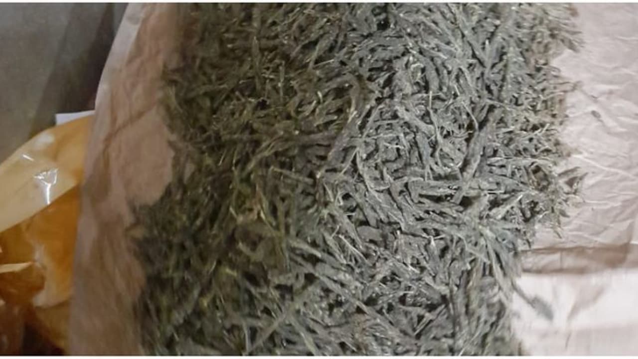 സ്ഥിരമായി ഒഡീഷയിൽ നിന്ന് കൊറിയർ, റെയ്ഡിൽ കഞ്ചാവ് പിടികൂടി; യുവാവ് അറസ്റ്റിൽ സ്ഥിരമായി ഒഡീഷയിൽ നിന്ന് കൊറിയർ, റെയ്ഡിൽ കഞ്ചാവ് പിടികൂടി; യുവാവ് അറസ്റ്റിൽ