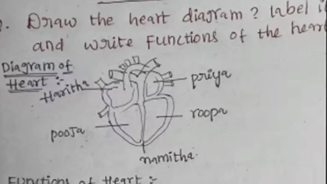 ഉത്തരക്കടലാസ് വൈറൽ, ഹൃദയത്തിൽ ഹരിത, പ്രിയ, പൂജ, രൂപ, നമിത എന്നിവരെന്ന് വിദ്യാർത്ഥി ഉത്തരക്കടലാസ് വൈറൽ, ഹൃദയത്തിൽ ഹരിത, പ്രിയ, പൂജ, രൂപ, നമിത എന്നിവരെന്ന് വിദ്യാർത്ഥി