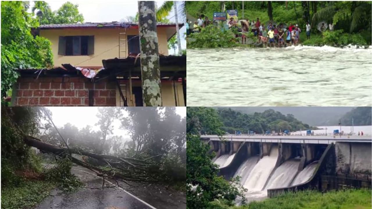 കനത്ത മഴ; വ്യാപക നാശനഷ്ടം, മലയോരമേഖകളിൽ മഴ കനക്കും, വിനോദ സഞ്ചാരത്തിന് നിയന്ത്രണം കനത്ത മഴ; വ്യാപക നാശനഷ്ടം, മലയോരമേഖകളിൽ മഴ കനക്കും, വിനോദ സഞ്ചാരത്തിന് നിയന്ത്രണം