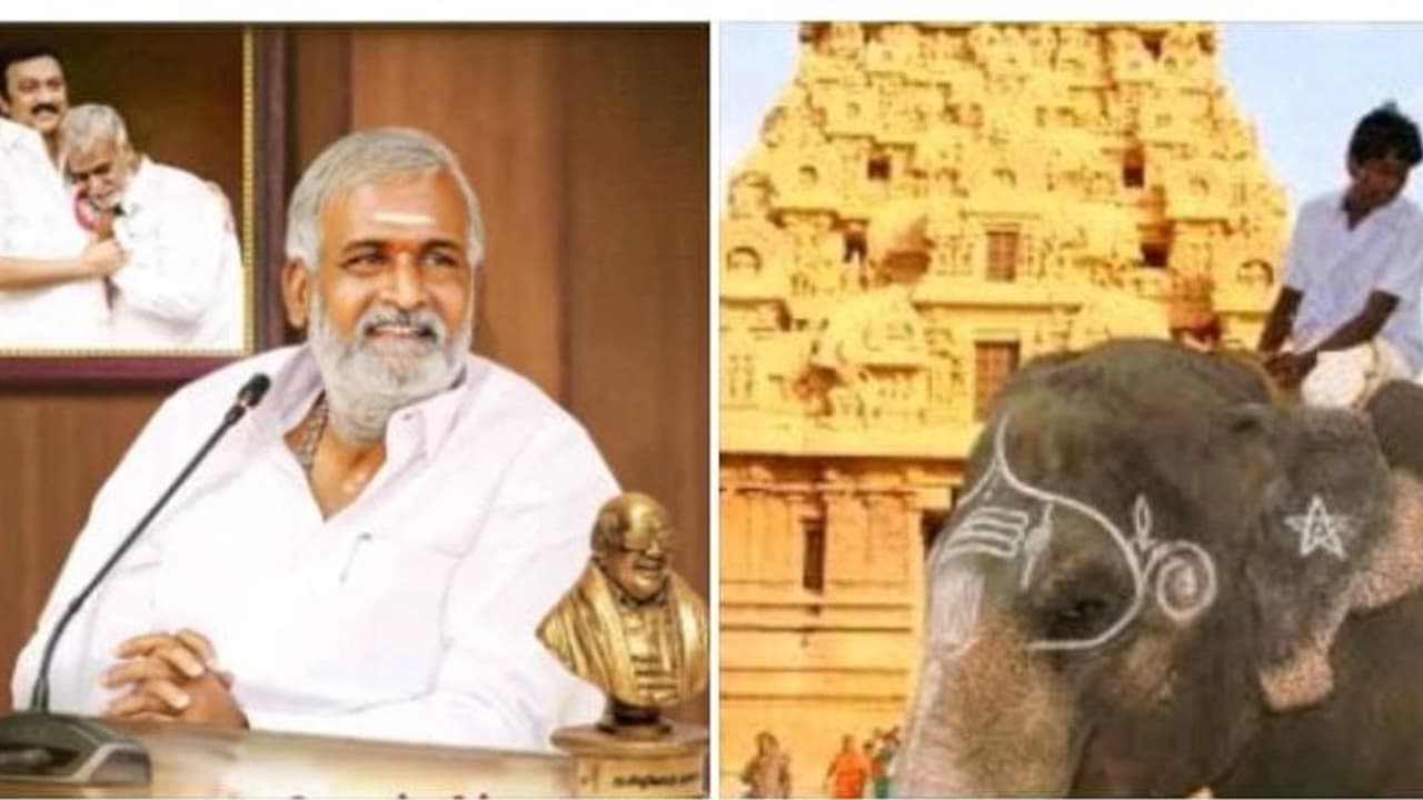 Sekarbabuதஞ்சை கோயிலுக்கு சிவாஜி கொடுத்த யானை இறந்து போச்சு.. புதிய யானை எப்போது வழங்கப்படும்? சேகர்பாபு தகவல் Sekarbabuதஞ்சை கோயிலுக்கு சிவாஜி கொடுத்த யானை இறந்து போச்சு.. புதிய யானை எப்போது வழங்கப்படும்? சேகர்பாபு தகவல்