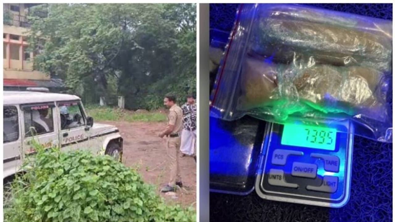 കൊച്ചിയിൽ വൻമയക്കുമരുന്ന് വേട്ട; കഞ്ചാവും എംഡിഎംഎയും എല്എസ്ഡിയും പിടികൂടി സ്പെഷ്യൽ സ്ക്വാഡ് കൊച്ചിയിൽ വൻമയക്കുമരുന്ന് വേട്ട; കഞ്ചാവും എംഡിഎംഎയും എല്എസ്ഡിയും പിടികൂടി സ്പെഷ്യൽ സ്ക്വാഡ്