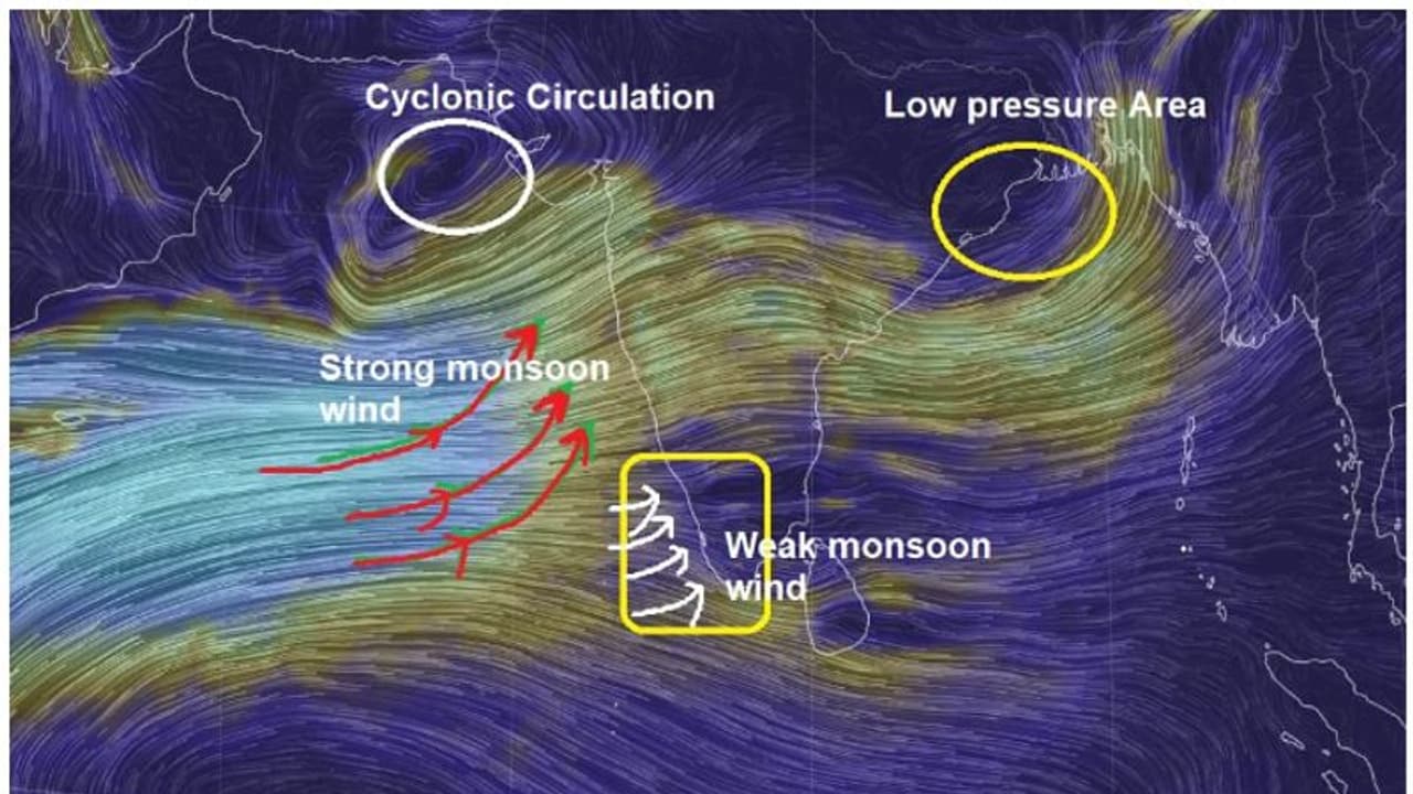 ബംഗാൾ ഉൾക്കടലിൽ ഈ സീസണിലെ ആദ്യ ന്യുനമർദ്ദം; കേരള തീരത്ത് കാലാവർഷക്കാറ്റ് ദുർബലം, മഴ മുന്നറിയിപ്പ് ഇങ്ങനെ ബംഗാൾ ഉൾക്കടലിൽ ഈ സീസണിലെ ആദ്യ ന്യുനമർദ്ദം; കേരള തീരത്ത് കാലാവർഷക്കാറ്റ് ദുർബലം, മഴ മുന്നറിയിപ്പ് ഇങ്ങനെ