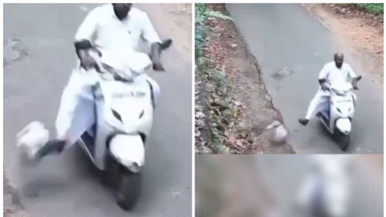 മെമ്പർ റോഡിൽ മാലിന്യം തള്ളിയ സംഭവം; എന്ത് നടപടിയെടുത്തെന്ന് സർക്കാരിനോട് ഹൈക്കോടതി