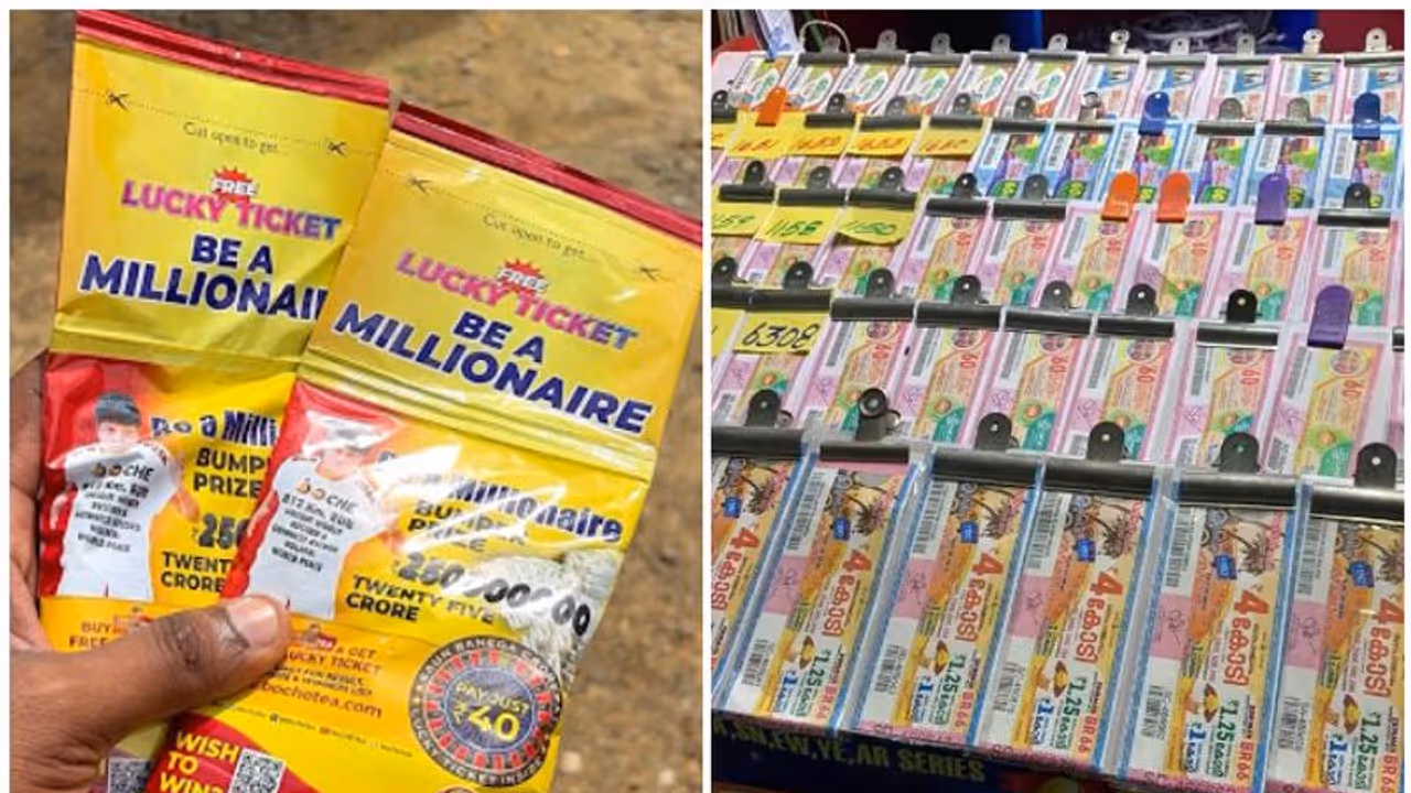 boche tea kerala lottery