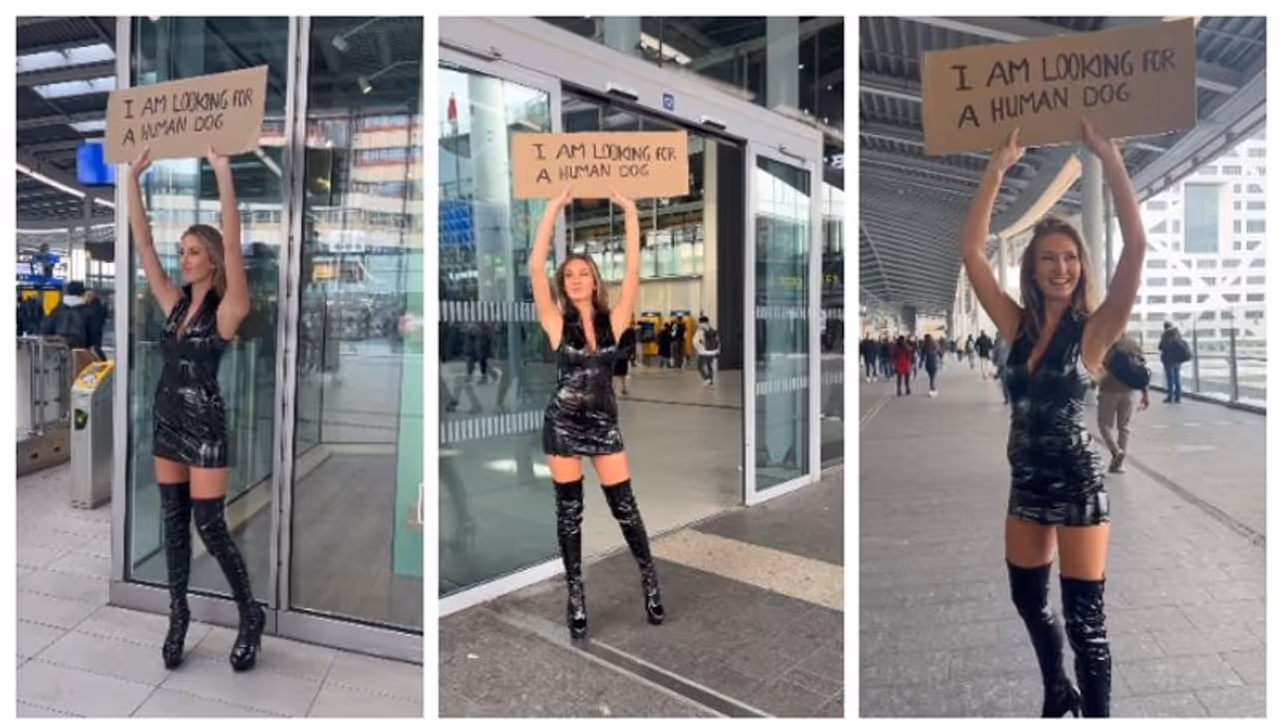 ഞാന് 'മനുഷ്യ പട്ടി'യെ അന്വേഷിക്കുന്നു; ഡച്ച് യുവതിയുടെ അസാധാരണ പോസ്റ്റര് വീഡിയോ വൈറലാകുന്നു ഞാന് 'മനുഷ്യ പട്ടി'യെ അന്വേഷിക്കുന്നു; ഡച്ച് യുവതിയുടെ അസാധാരണ പോസ്റ്റര് വീഡിയോ വൈറലാകുന്നു