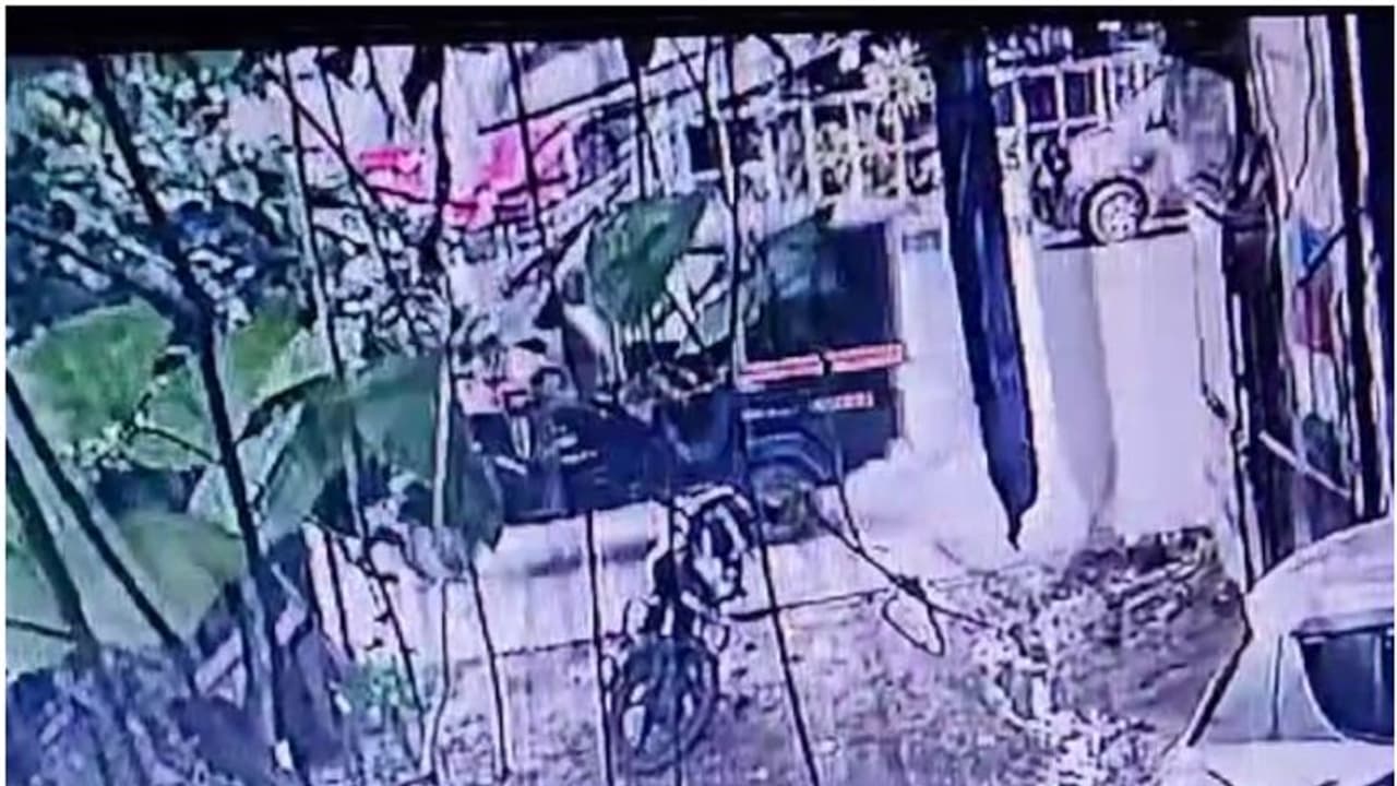 ഞൊടിയിടയിൽ എല്ലാം നടന്നു, ആരും ഒന്നുമറിഞ്ഞില്ല; കടയ്ക്ക് മുന്നിൽ കെട്ടിയ നായക്കുട്ടിയെ വണ്ടിയിൽ കടത്തി, പരാതി ഞൊടിയിടയിൽ എല്ലാം നടന്നു, ആരും ഒന്നുമറിഞ്ഞില്ല; കടയ്ക്ക് മുന്നിൽ കെട്ടിയ നായക്കുട്ടിയെ വണ്ടിയിൽ കടത്തി, പരാതി