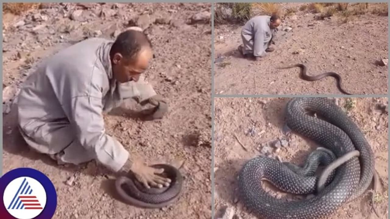 ಬುಸುಗುಡುತ್ತಾ ಕಚ್ಚಲು ಬಂದ ವಿಷಕಾರಿ ಹಾವನ್ನು ಮಕಾಡೆ ಮಲಗಿಸಿದ ಮುಸ್ಲಿಂ ಬಾಬಾ! ಬುಸುಗುಡುತ್ತಾ ಕಚ್ಚಲು ಬಂದ ವಿಷಕಾರಿ ಹಾವನ್ನು ಮಕಾಡೆ ಮಲಗಿಸಿದ ಮುಸ್ಲಿಂ ಬಾಬಾ!