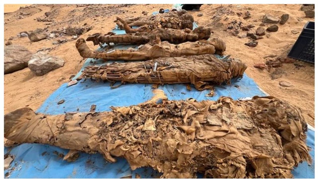 'മരിച്ചവരുടെ നഗരത്തിൽ' കണ്ടെത്തിയത് 1,400 ലധികം മമ്മികൾ 