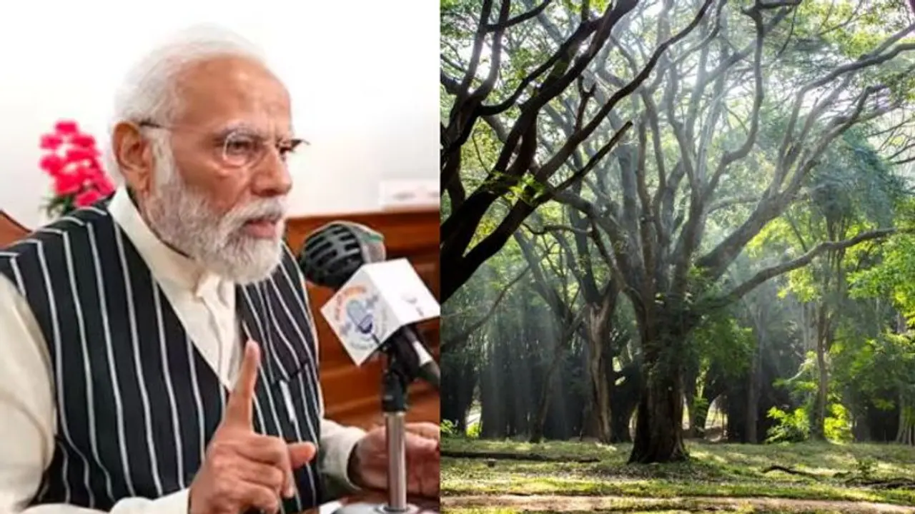 ಕಬ್ಬನ್ ಪಾರ್ಕ್ನಲ್ಲಿ ಸಂಸ್ಕೃತ ಚರ್ಚೆಯ ಬಗ್ಗೆ ಮನ್ ಕೀ ಬಾತ್ ನಲ್ಲಿ ಮೋದಿ ಉಲ್ಲೇಖ ಕಬ್ಬನ್ ಪಾರ್ಕ್ನಲ್ಲಿ ಸಂಸ್ಕೃತ ಚರ್ಚೆಯ ಬಗ್ಗೆ ಮನ್ ಕೀ ಬಾತ್ ನಲ್ಲಿ ಮೋದಿ ಉಲ್ಲೇಖ