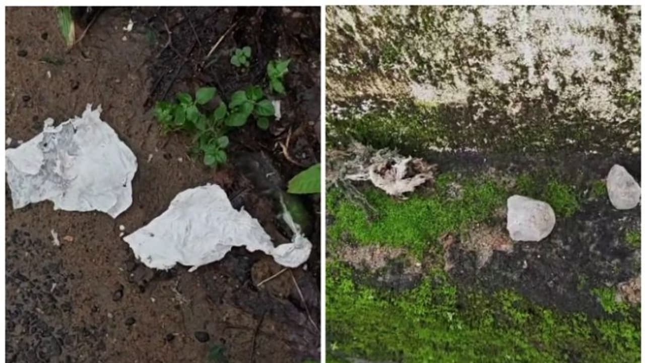 റോഡരികിൽ നാടന്ബോംബ് പൊട്ടിത്തെറിച്ചു; യുവാവ് കസ്റ്റഡിയിൽ; സംഭവം തൃശ്ശൂർ ചാവക്കാട് റോഡരികിൽ നാടന്ബോംബ് പൊട്ടിത്തെറിച്ചു; യുവാവ് കസ്റ്റഡിയിൽ; സംഭവം തൃശ്ശൂർ ചാവക്കാട്