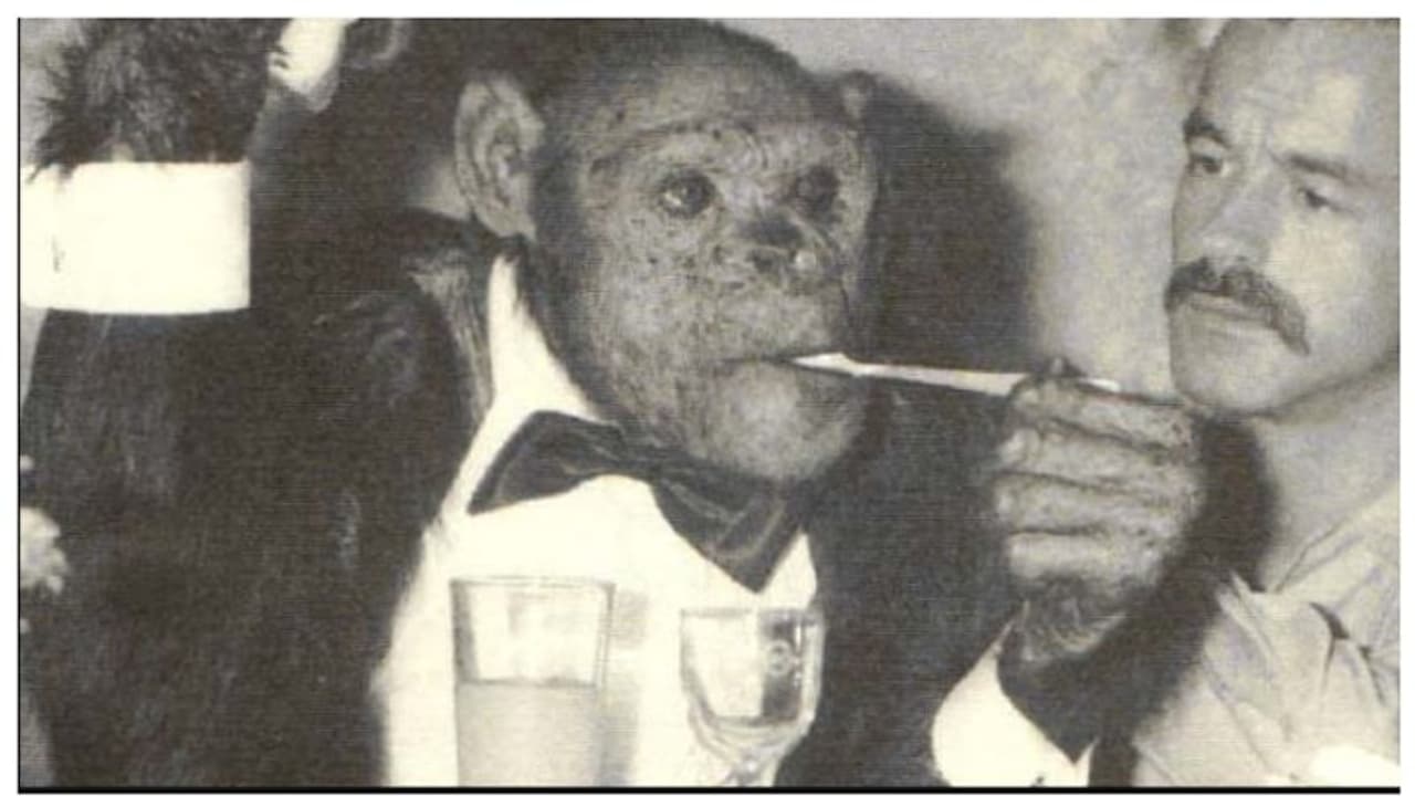 നെറ്റിസണ്സിനെ ആവേശത്തിലാക്കി 'ഹ്യൂമന്സീ' എന്ന വിളിക്കപ്പെട്ട ഒലിവർ ചിമ്പാന്സിയുടെ ചിത്രങ്ങൾ വൈറൽ നെറ്റിസണ്സിനെ ആവേശത്തിലാക്കി 'ഹ്യൂമന്സീ' എന്ന വിളിക്കപ്പെട്ട ഒലിവർ ചിമ്പാന്സിയുടെ ചിത്രങ്ങൾ വൈറൽ