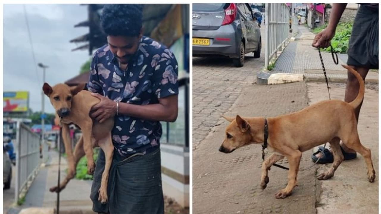 'കുട്ടു'വിനെ തിരികെ കിട്ടി; ഉടമയുടെ സങ്കടം കണ്ട് തിരികെയേൽപിക്കുന്നുവെന്ന് മോഷ്ടാവ്