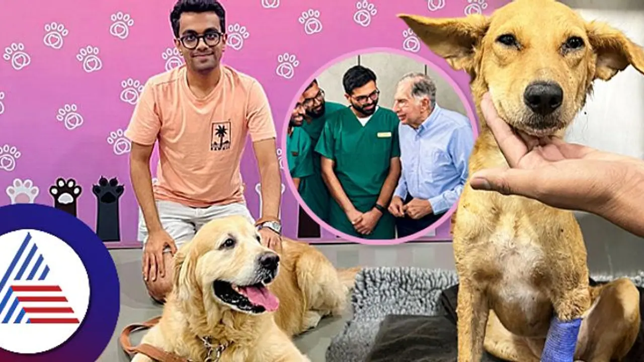 ಸಾವು ಬದುಕಿನ ಹೋರಾಟದಲ್ಲಿದ್ದ ನಾಯಿ ಪ್ರಾಣ ಉಳಿಸಿದ ರಕ್ತ ದಾನ, ಧನ್ಯವಾದ ತಿಳಿಸಿದ ರತನ್ ಟಾಟಾ! ಸಾವು ಬದುಕಿನ ಹೋರಾಟದಲ್ಲಿದ್ದ ನಾಯಿ ಪ್ರಾಣ ಉಳಿಸಿದ ರಕ್ತ ದಾನ, ಧನ್ಯವಾದ ತಿಳಿಸಿದ ರತನ್ ಟಾಟಾ!