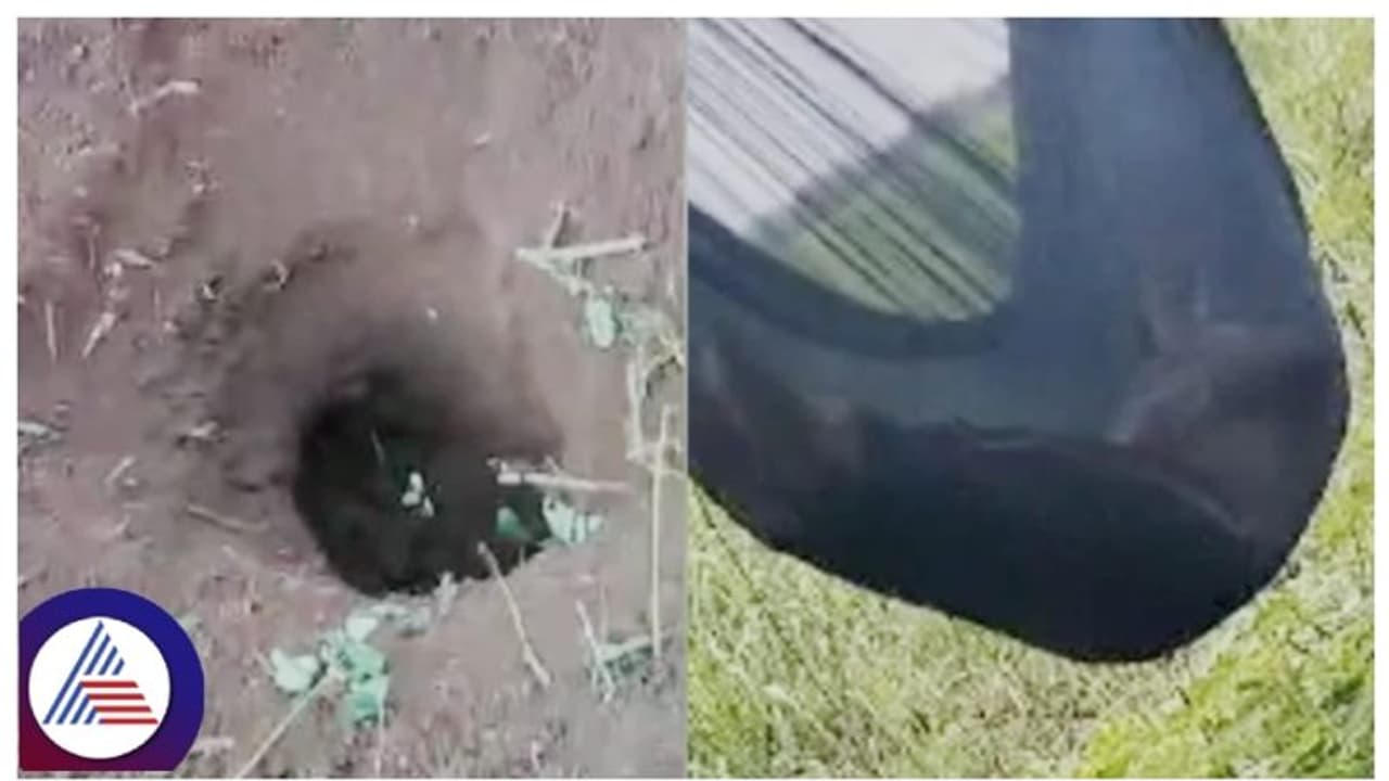 ಬೀದರ್: ಅಂತ್ಯಸಂಸ್ಕಾರ ಮಾಡಿದ್ದ ಮಗು ಬೆಳಗಾಗುವಷ್ಟರಲ್ಲಿ ಮರದಲ್ಲಿ ಪ್ರತ್ಯಕ್ಷ! ಬೀದರ್: ಅಂತ್ಯಸಂಸ್ಕಾರ ಮಾಡಿದ್ದ ಮಗು ಬೆಳಗಾಗುವಷ್ಟರಲ್ಲಿ ಮರದಲ್ಲಿ ಪ್ರತ್ಯಕ್ಷ!