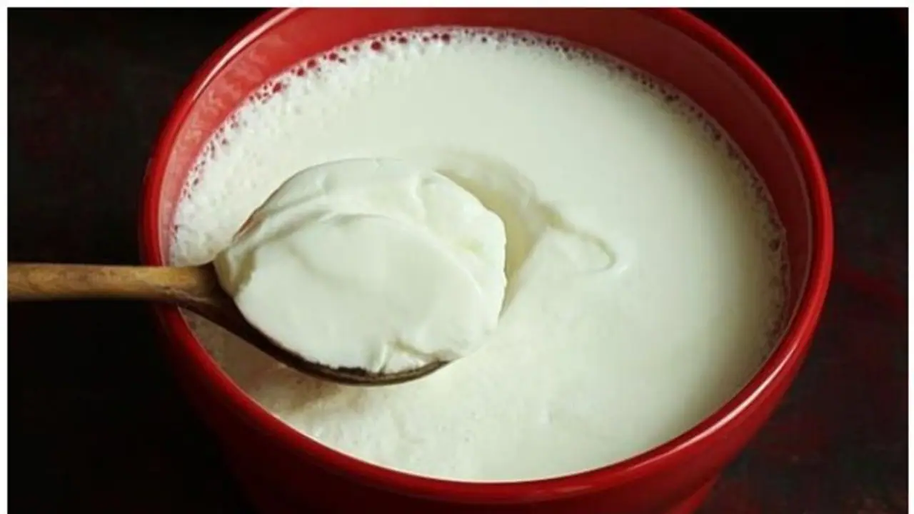 தயிருடன் உப்பு அல்லது சர்க்கரை... இந்த ரெண்டில் எது நல்லது? அவசியம் தெரிஞ்சுக்கோங்க!