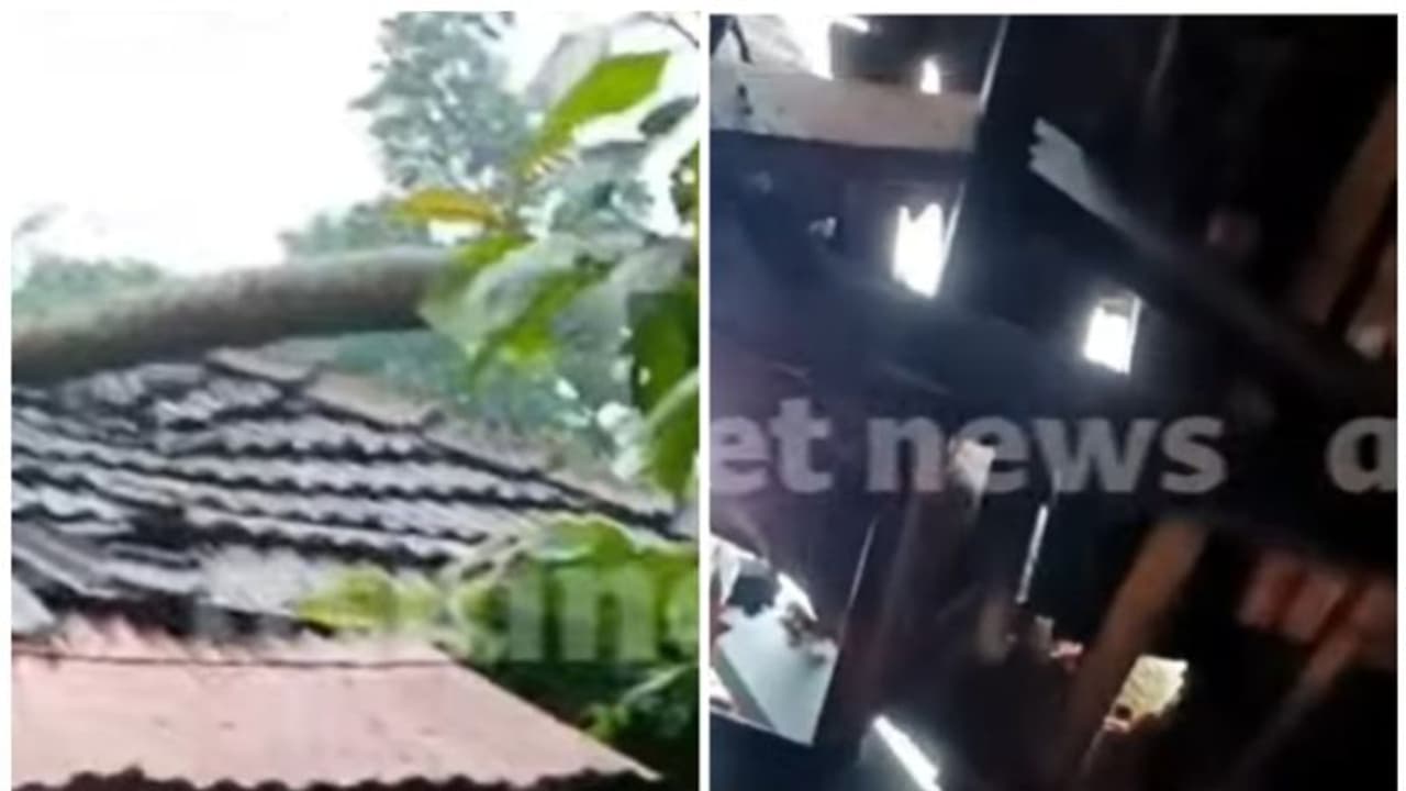 കനത്ത മഴയും കാറ്റും; തൃശ്ശൂരിൽ വീടിന് മുകളിലേക്ക് തെങ്ങ് വീണ് 3 പേർക്ക് പരിക്ക് കനത്ത മഴയും കാറ്റും; തൃശ്ശൂരിൽ വീടിന് മുകളിലേക്ക് തെങ്ങ് വീണ് 3 പേർക്ക് പരിക്ക്