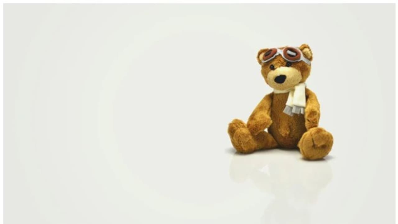 കുട്ടിക്കാലം മുതൽ കൂടെയുള്ള പാവയെ വിദേശ യാത്രയിൽ കാണാതായി; 44,000 രൂപയുടെ പാരിതോഷികം പ്രഖ്യാപിച്ച് യുവാവ്