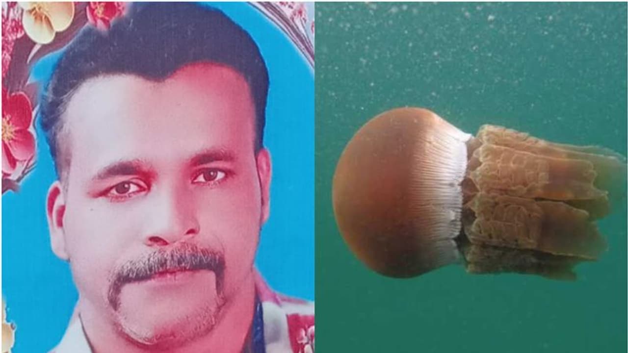 മീൻ പിടിക്കുന്നതിനിടയിൽ കടൽച്ചൊറി കണ്ണിൽ തെറിച്ചു, ചികിത്സയിലിരിക്കെ മത്സ്യത്തൊഴിലാളി മരിച്ചു മീൻ പിടിക്കുന്നതിനിടയിൽ കടൽച്ചൊറി കണ്ണിൽ തെറിച്ചു, ചികിത്സയിലിരിക്കെ മത്സ്യത്തൊഴിലാളി മരിച്ചു