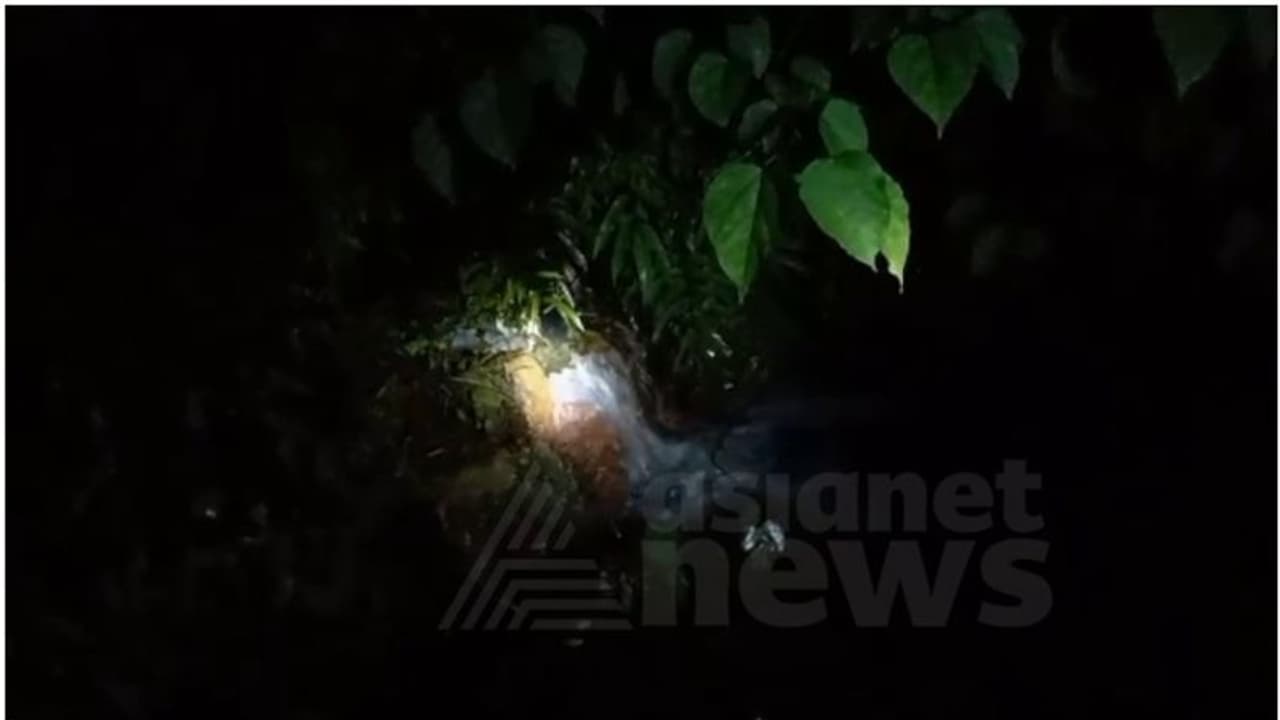 പെരിയാറില് വീണ്ടും രാസമാലിന്യം; പൊതുമേഖല സ്ഥാപനമായ ടിസിസി പുഴയിലേക്ക് മാലിന്യം ഒഴുക്കിയതായി പരാതി പെരിയാറില് വീണ്ടും രാസമാലിന്യം; പൊതുമേഖല സ്ഥാപനമായ ടിസിസി പുഴയിലേക്ക് മാലിന്യം ഒഴുക്കിയതായി പരാതി