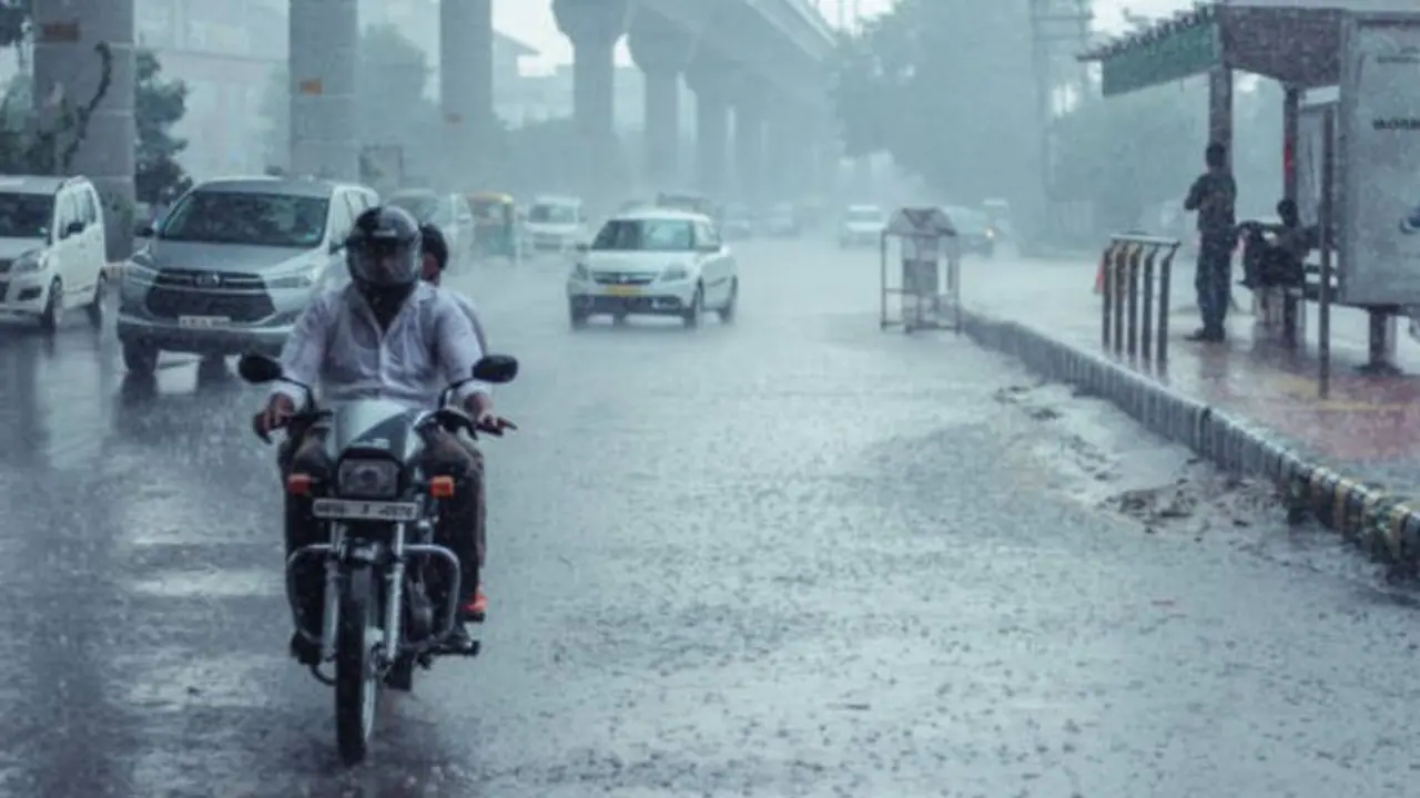IMD Alert! Heavy rains expected in Delhi NCR today; 'orange alert' issued as precautionary measure IMD Alert! Heavy rains expected in Delhi NCR today; 'orange alert' issued as precautionary measure