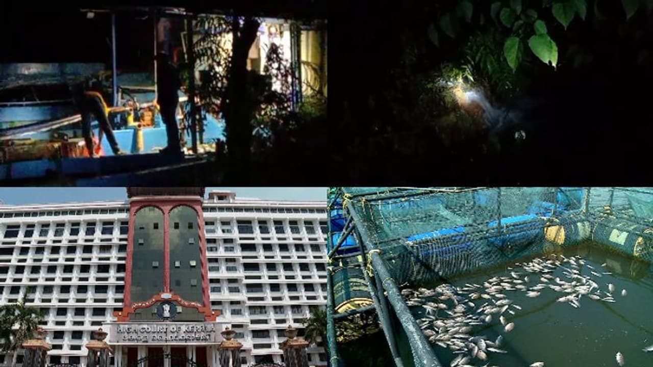 ഏലൂരില്‍ എന്തുകൊണ്ട് ആരോഗ്യ സർവേ നടത്തുന്നില്ലെന്ന് ഹൈക്കോടതി, വ്യവസായ സ്ഥാപനങ്ങളുടെ പട്ടിക നൽകാൻ നിർദേശം