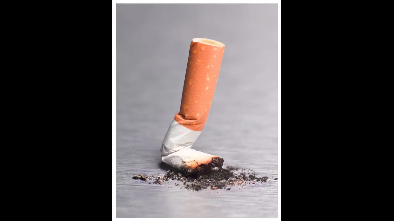 black swan tobacco Rocky Patel Black Swan | Cigar Page