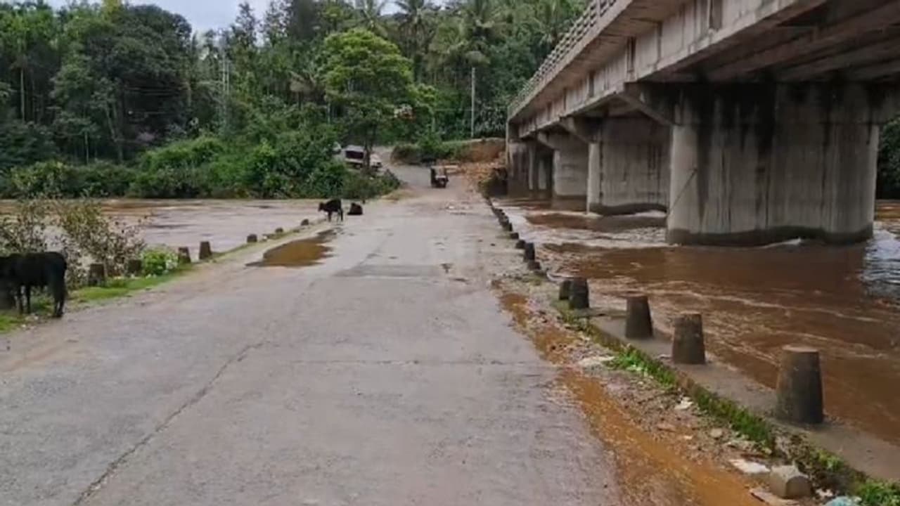 ಕಾಫಿನಾಡ ಪಶ್ಚಿಮ ಘಟ್ಟಗಳ ಸಾಲಲ್ಲಿ ಭಾರೀ ಮಳೆ: ಹೆಬ್ಬಾಳೆ ಸೇತುವೆ ಮುಳುಗಡೆಗೆ ಕ್ಷಣಗಣನೆ