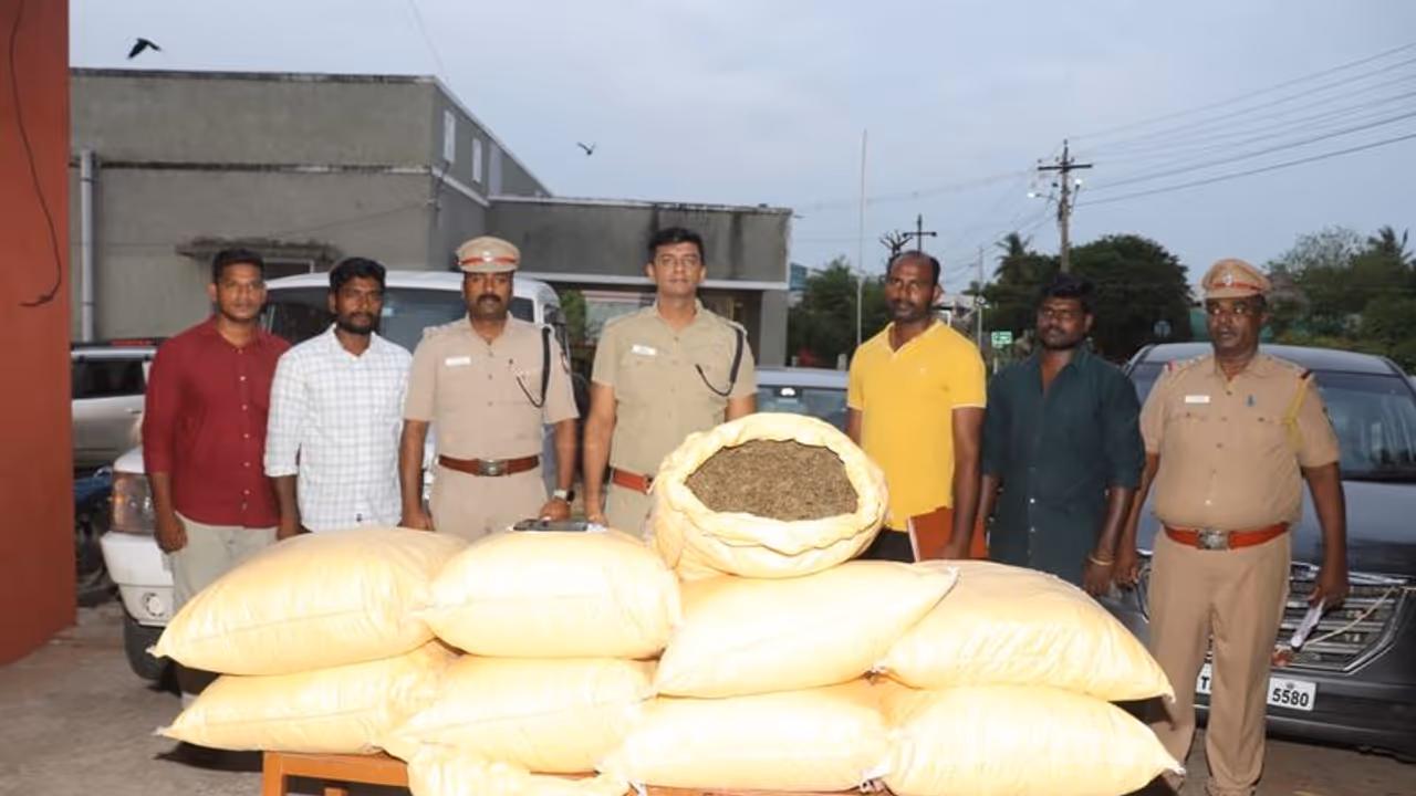 Smuggling: நாகையில் 200 கிலோ கஞ்சா, 3 சரக்கு வாகனங்கள் பறிமுதல்; தனிப்படை அதிகாரிகள் அதிரடி