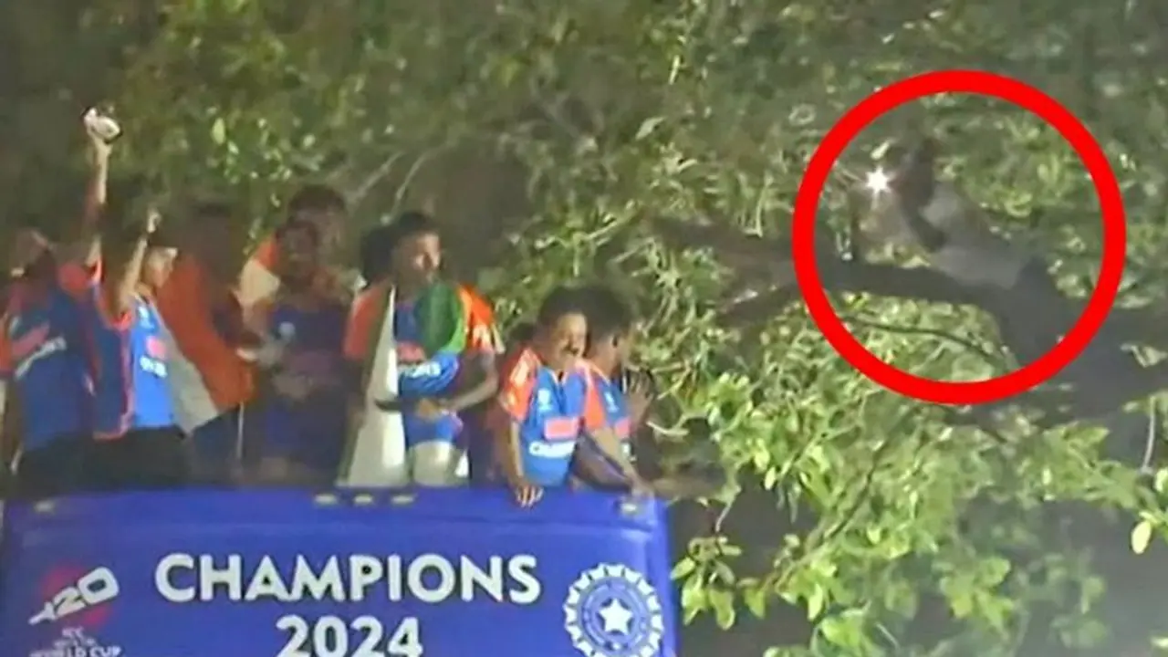 T20 WC champions' victory parade: Internet stunned as fan spotted on tree close to Team India's bus (WATCH)