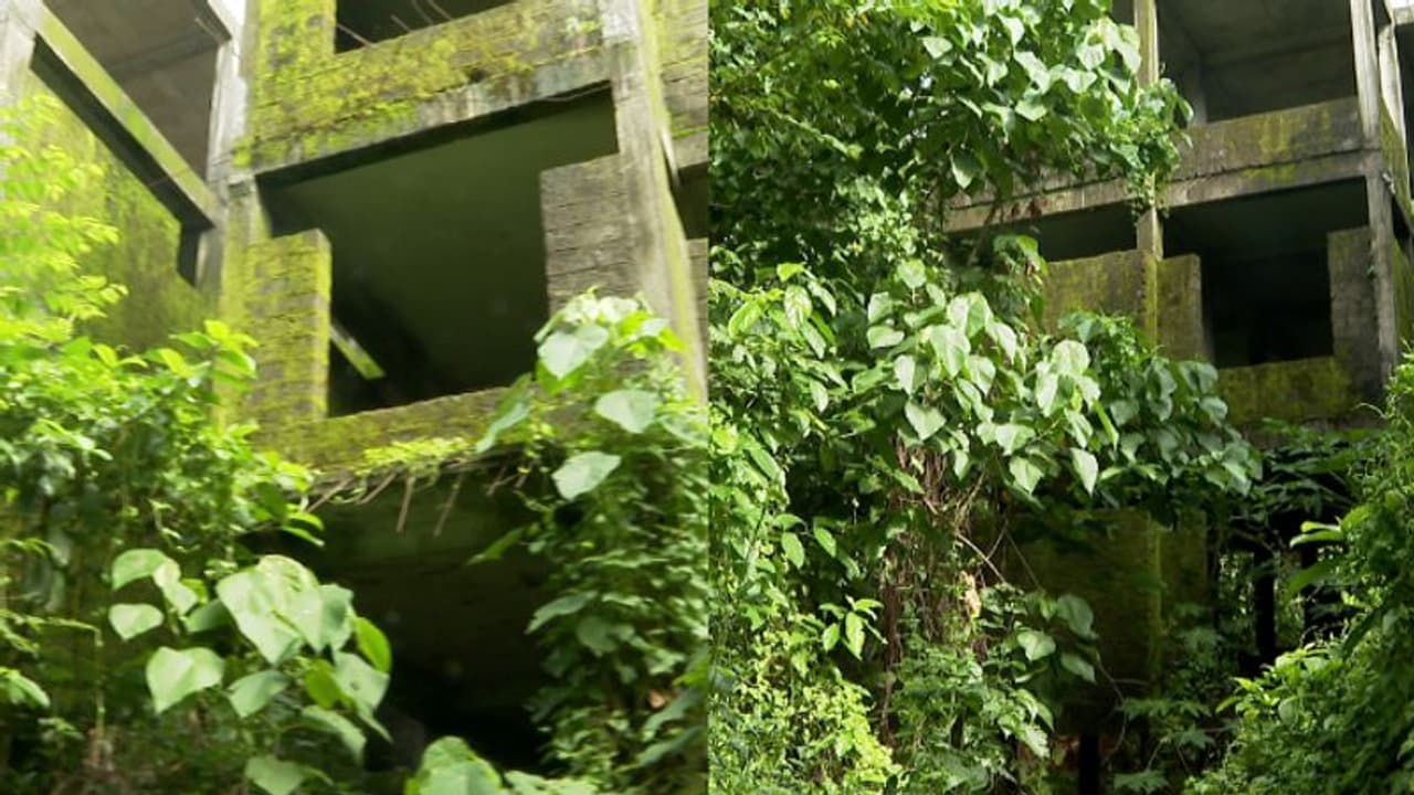 ഒരു കാലത്ത് കൊട്ടിഘോഷിക്കപ്പെട്ട ലൈഫ് മിഷൻ; കാടുകയറി നശിക്കുന്ന വടക്കാഞ്ചേരി പദ്ധതി, കണ്ണടച്ച് അധികൃതർ ഒരു കാലത്ത് കൊട്ടിഘോഷിക്കപ്പെട്ട ലൈഫ് മിഷൻ; കാടുകയറി നശിക്കുന്ന വടക്കാഞ്ചേരി പദ്ധതി, കണ്ണടച്ച് അധികൃതർ