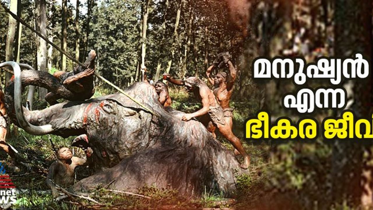 'മനുഷ്യൻ എന്ന ഭീകരജീവി'; 80 ശതമാനം ചരിത്രാതീത മൃഗങ്ങളുടെയും വംശനാശത്തിന് കാരണം മനുഷ്യന്‍ 