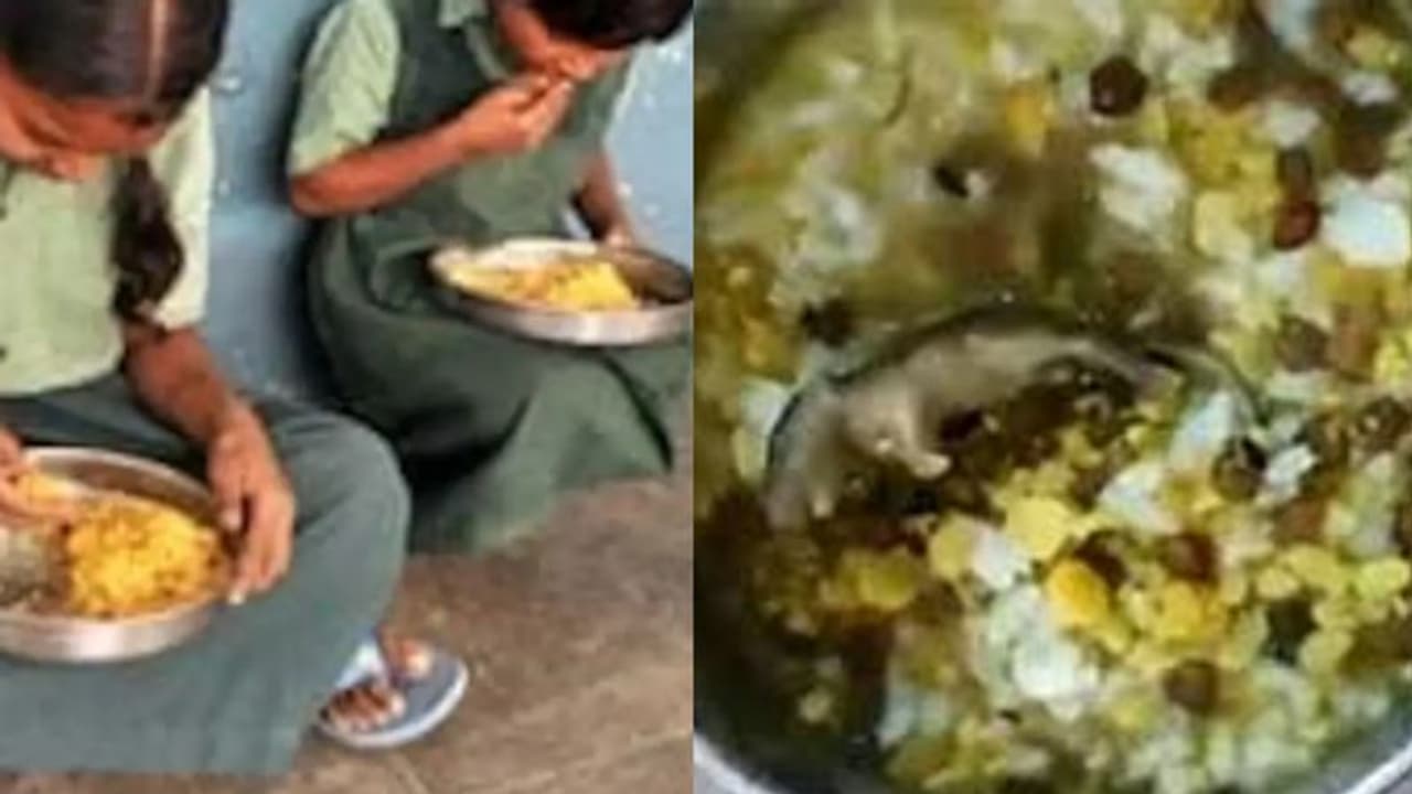 അങ്കണവാടിയിൽ നിന്നും ഉച്ച ഭക്ഷണം കൊടുത്തു, വീട്ടിലെത്തി തുറന്നപ്പോൾ പായ്ക്കറ്റിനുള്ളിൽ ചത്ത പാമ്പ്