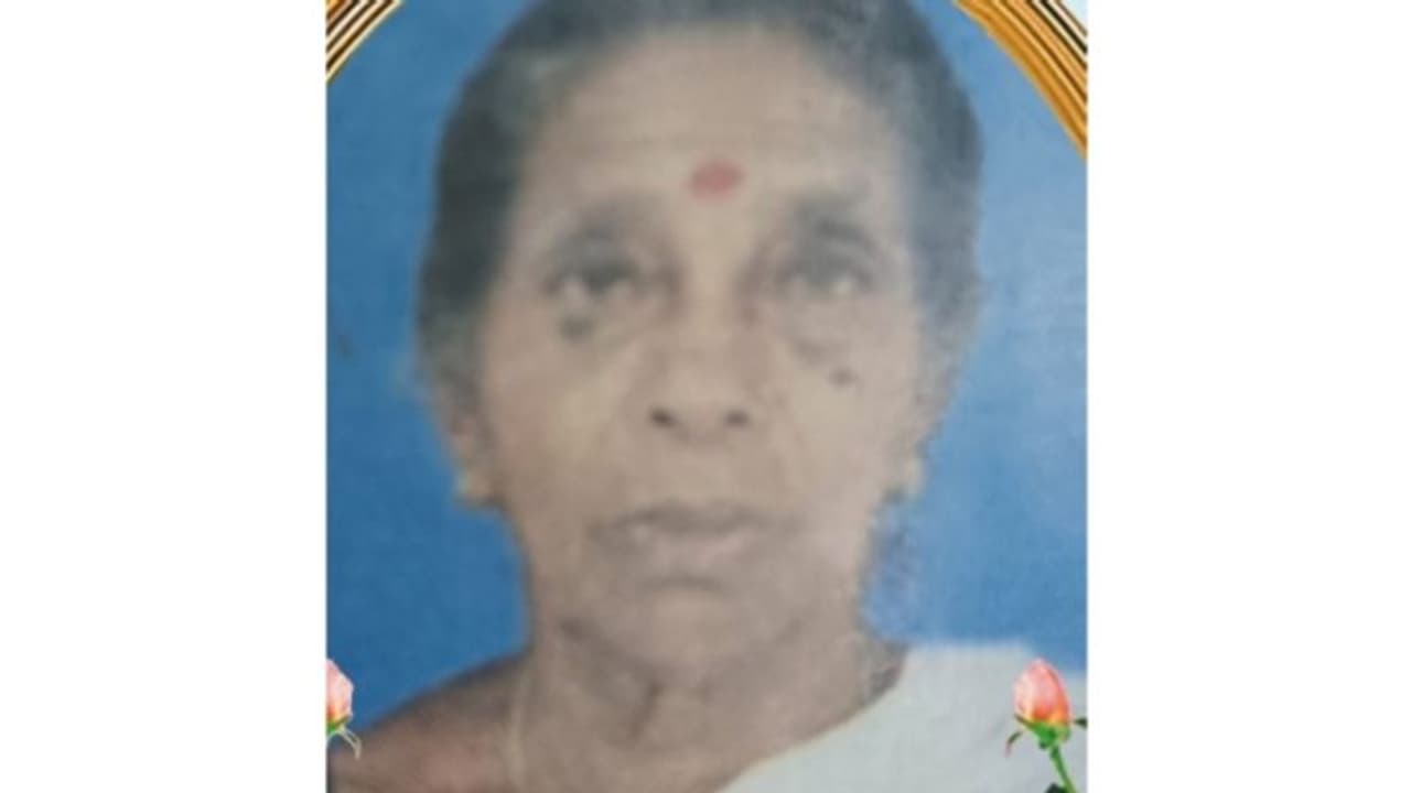 ആലപ്പുഴയിൽ വയോധിക ട്രെയിൻ തട്ടി മരിച്ചു ആലപ്പുഴയിൽ വയോധിക ട്രെയിൻ തട്ടി മരിച്ചു