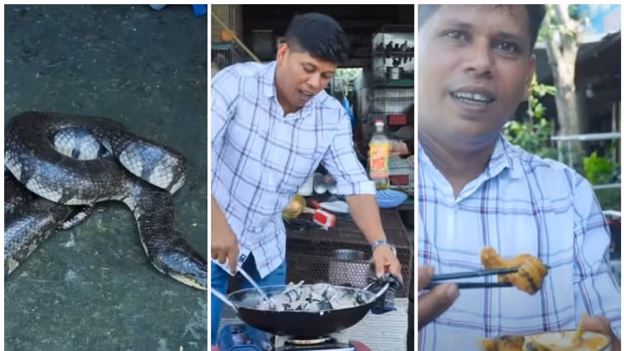 "വറുത്തരച്ച പാമ്പ് കറി" പാചക വീഡിയോ പങ്കുവച്ച ഫിറോസ് ചുട്ടിപ്പാറയ്ക്ക് വിമര്‍ശനവും പിന്തുണയും