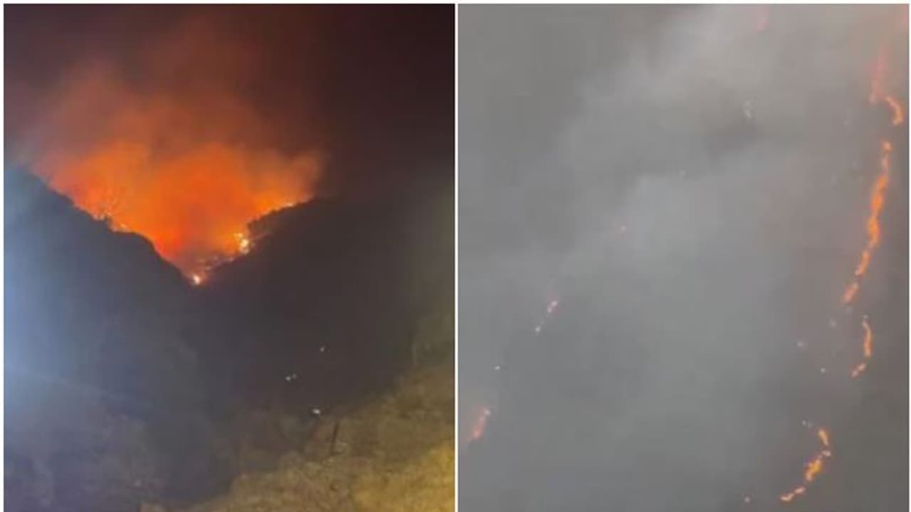 അല്ബാഹ പര്വ്വതത്തില് വന് തീപിടിത്തം; തീയണയ്ക്കാന് ശ്രമം തുടര്ന്ന് സിവില് ഡിഫന്സ് അല്ബാഹ പര്വ്വതത്തില് വന് തീപിടിത്തം; തീയണയ്ക്കാന് ശ്രമം തുടര്ന്ന് സിവില് ഡിഫന്സ്