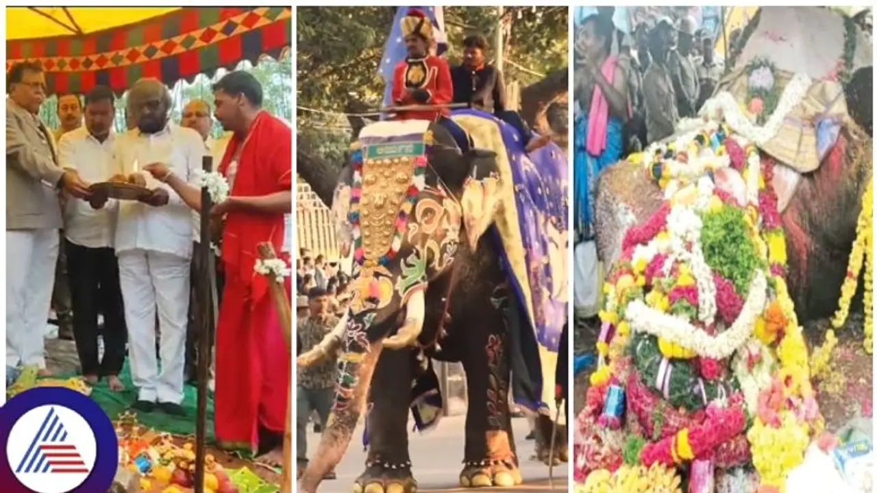 ಮೈಸೂರು ದಸರಾ ಅಂಬಾರಿ ಆನೆ ಅರ್ಜುನನಿಗೆ ಸ್ಮಾರಕ ನಿರ್ಮಾಣ; ಈಶ್ವರ್ ಖಂಡ್ರೆ ಚಾಲನೆ ಮೈಸೂರು ದಸರಾ ಅಂಬಾರಿ ಆನೆ ಅರ್ಜುನನಿಗೆ ಸ್ಮಾರಕ ನಿರ್ಮಾಣ; ಈಶ್ವರ್ ಖಂಡ್ರೆ ಚಾಲನೆ