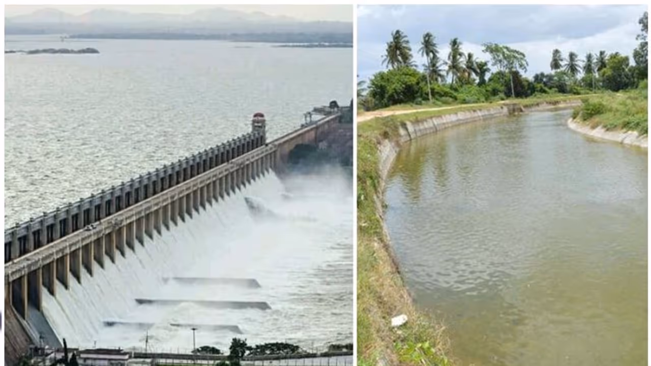 ಕೆಆರ್ಎಸ್ ಜಲಾಶಯದಲ್ಲಿ 101.56 ಅಡಿ ನೀರು ಸಂಗ್ರಹ; ಜು.8ರಿಂದ ಮಂಡ್ಯ ವಿಸಿ ನಾಲೆಗೆ ನೀರು ಹರಿವು ಕೆಆರ್ಎಸ್ ಜಲಾಶಯದಲ್ಲಿ 101.56 ಅಡಿ ನೀರು ಸಂಗ್ರಹ; ಜು.8ರಿಂದ ಮಂಡ್ಯ ವಿಸಿ ನಾಲೆಗೆ ನೀರು ಹರಿವು