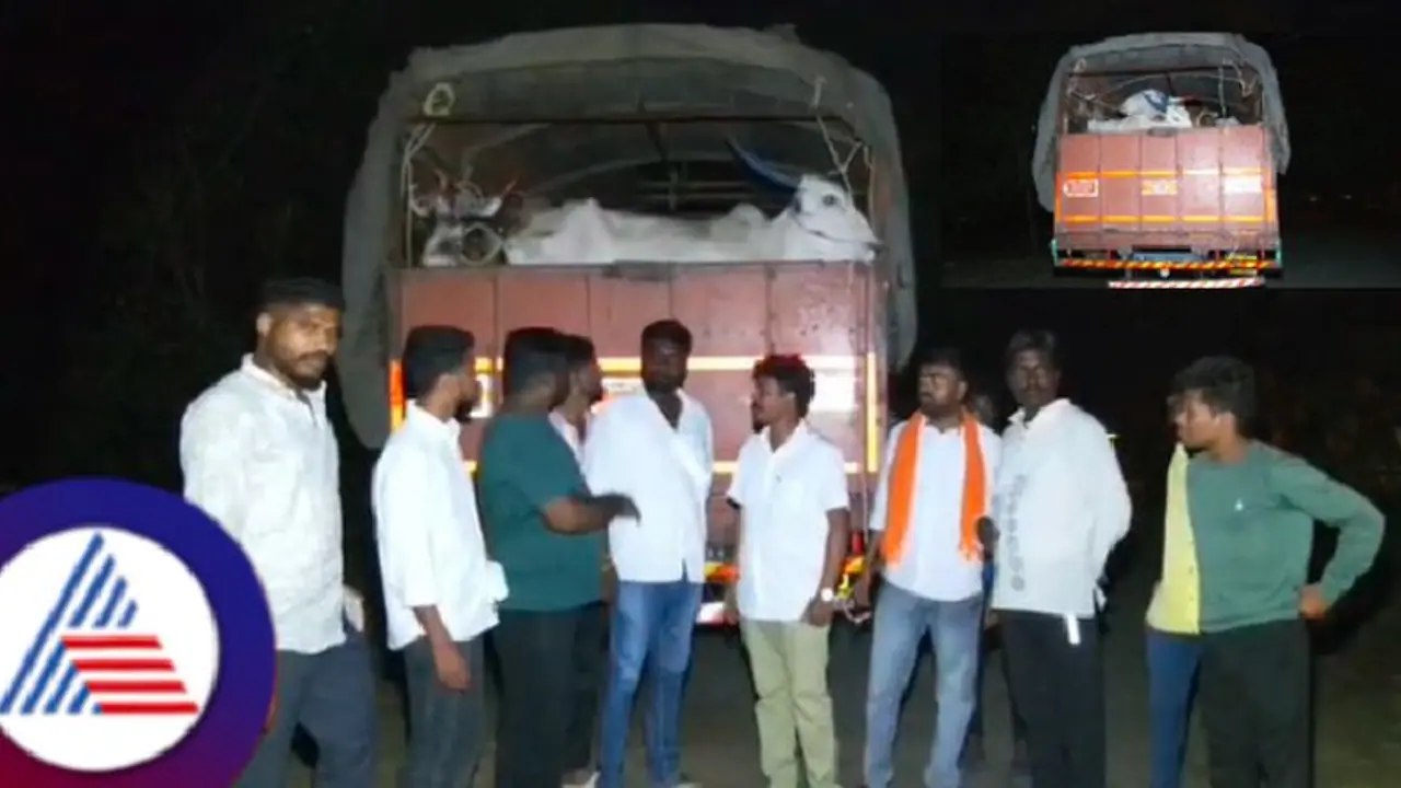 ರಾಯಚೂರು: ಅಕ್ರಮವಾಗಿ ಸಾಗಾಟ ಆರೋಪ, ಭಜರಂಗದಳ ಕಾರ್ಯಕರ್ತರಿಂದ 19 ಗೋವುಗಳ ರಕ್ಷಣೆ ರಾಯಚೂರು: ಅಕ್ರಮವಾಗಿ ಸಾಗಾಟ ಆರೋಪ, ಭಜರಂಗದಳ ಕಾರ್ಯಕರ್ತರಿಂದ 19 ಗೋವುಗಳ ರಕ್ಷಣೆ