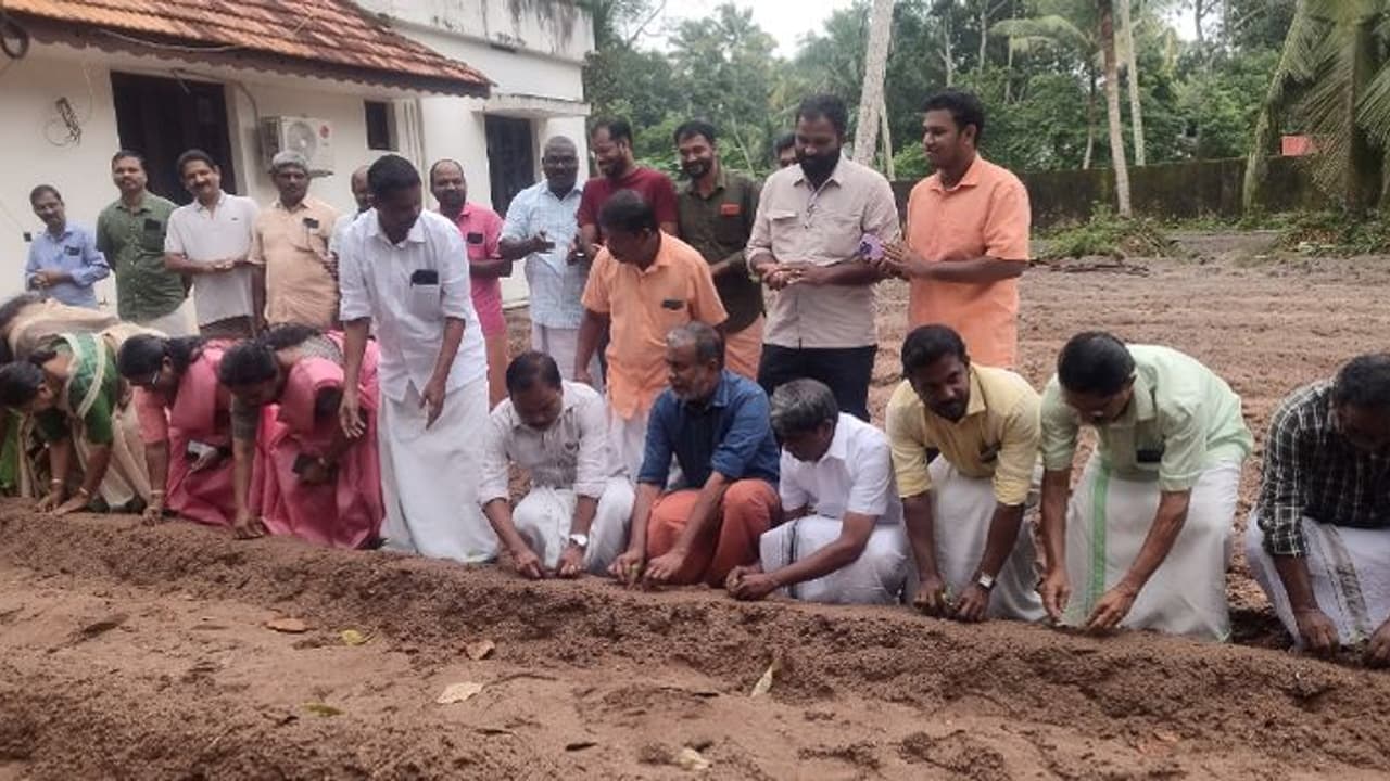 മന്ത്രി പ്രസാദിന്റെ വസതിയിൽ ഓണക്കാല പൂകൃഷിക്ക് തുടക്കമായി മന്ത്രി പ്രസാദിന്റെ വസതിയിൽ ഓണക്കാല പൂകൃഷിക്ക് തുടക്കമായി