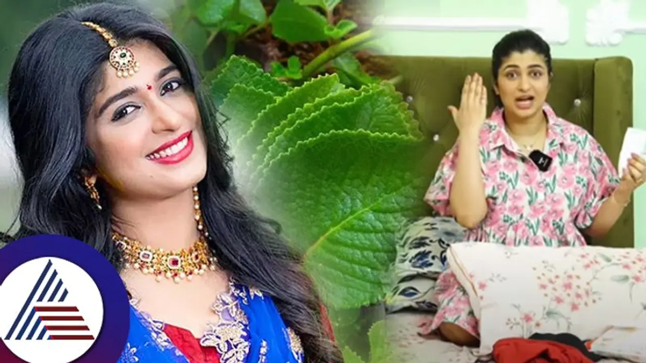 ಕೆಮ್ಮು, ಶೀತ, ಅಲರ್ಜಿ, ಕ್ರಿಮಿ ಕಡಿತ... ಅಬ್ಬಬ್ಬಾ ದೊಡ್ಡಪತ್ರೆ ಪ್ರಯೋಜನ ಒಂದೆರಡಲ್ಲ... ಅದಿತಿ ಪ್ರಭುದೇವ ಟಿಪ್ಸ್ ಕೆಮ್ಮು, ಶೀತ, ಅಲರ್ಜಿ, ಕ್ರಿಮಿ ಕಡಿತ... ಅಬ್ಬಬ್ಬಾ ದೊಡ್ಡಪತ್ರೆ ಪ್ರಯೋಜನ ಒಂದೆರಡಲ್ಲ... ಅದಿತಿ ಪ್ರಭುದೇವ ಟಿಪ್ಸ್