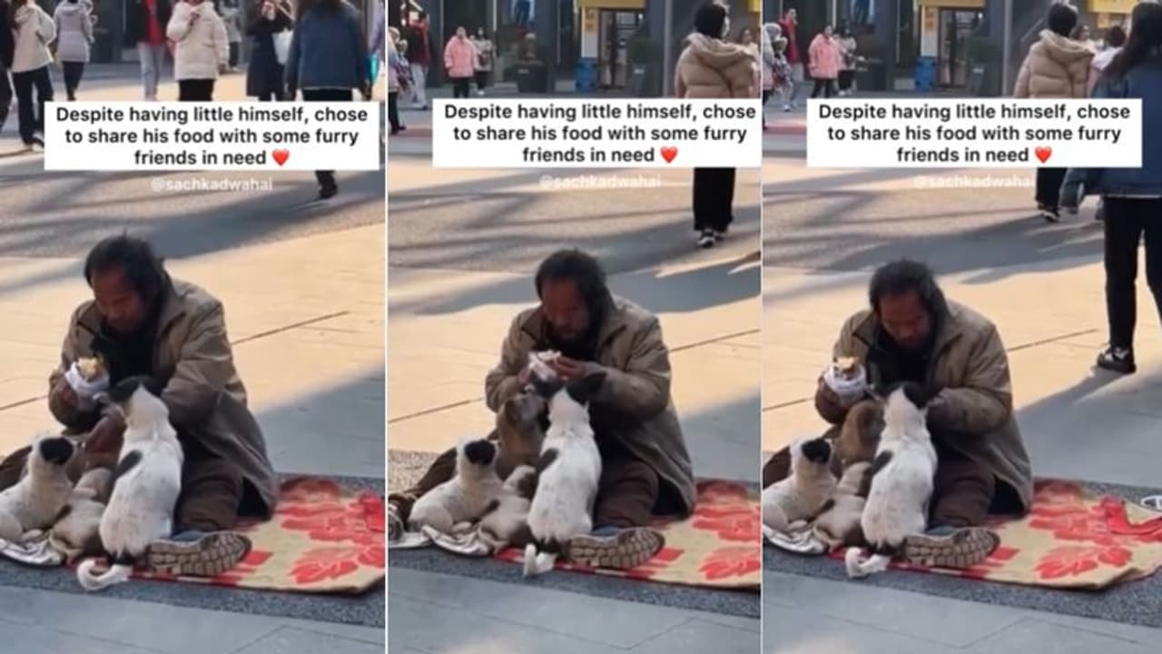 ತನ್ನ ಆಹಾರವನ್ನು ಹಸಿವಿನಿಂದ ಬಂದ ಬೀದಿ ನಾಯಿಗೆ ಹಂಚಿದ ನಿರ್ಗತಿಕನ ಹೃದಯಸ್ಪರ್ಶಿ ವಿಡಿಯೋ! ತನ್ನ ಆಹಾರವನ್ನು ಹಸಿವಿನಿಂದ ಬಂದ ಬೀದಿ ನಾಯಿಗೆ ಹಂಚಿದ ನಿರ್ಗತಿಕನ ಹೃದಯಸ್ಪರ್ಶಿ ವಿಡಿಯೋ!