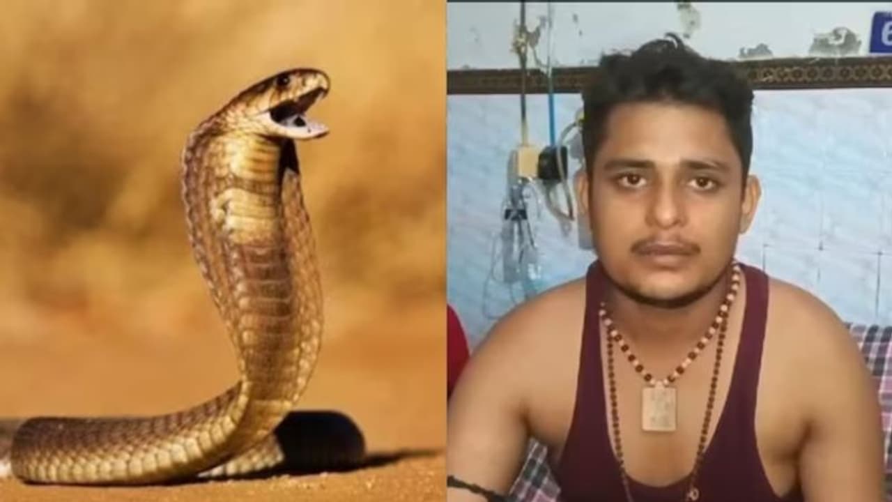 എവിടെപ്പോയാലും പാമ്പുകൾ പിന്നാലെ, ഒന്നര മാസത്തിനിടെ കടിയേറ്റത് ആറുതവണ, എന്നിട്ടും വികാസ് ജീവിതത്തിലേക്ക് എവിടെപ്പോയാലും പാമ്പുകൾ പിന്നാലെ, ഒന്നര മാസത്തിനിടെ കടിയേറ്റത് ആറുതവണ, എന്നിട്ടും വികാസ് ജീവിതത്തിലേക്ക്