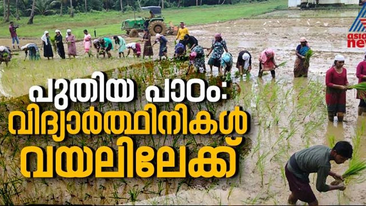 മഴ നനഞ്ഞ് മണ്ണറിഞ്ഞ് പുതിയൊരു പാഠം, കൃഷി ചെയ്യാന്‍ കൃഷ്ണ മേനോൻ കോളേജിലെ വിദ്യാർത്ഥിനികൾ 
