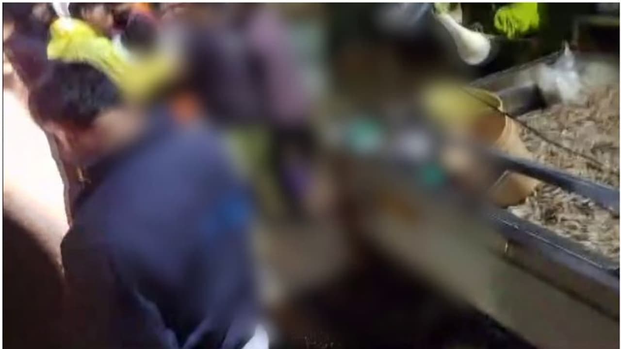 വയനാട്ടിൽ മീൻ വിലകുറച്ച് വിറ്റതിന് ആൾക്കൂട്ട മർദ്ദനം; ദൃശ്യങ്ങൾ പുറത്ത്, കേസെടുക്കുമെന്ന് പൊലീസ്