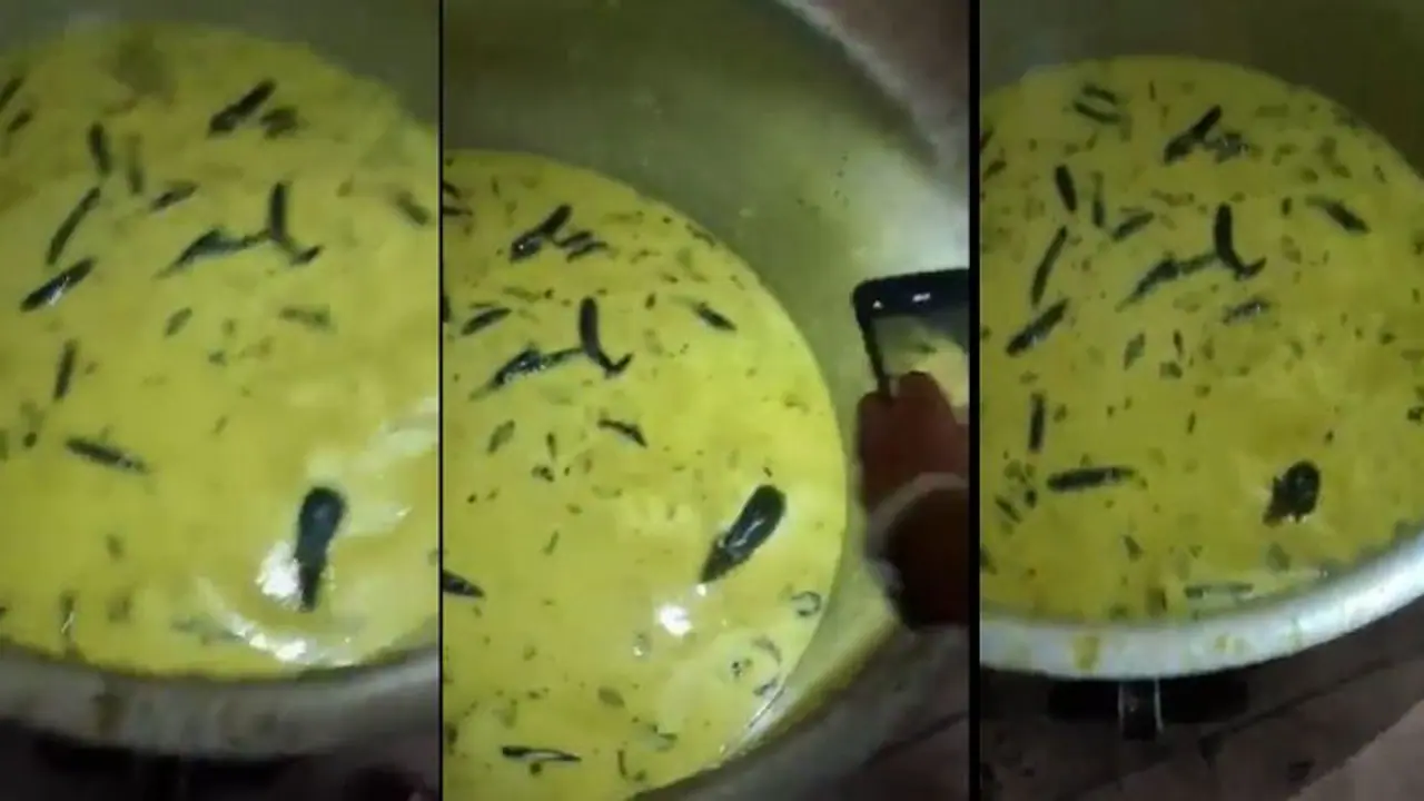  ദോശയ്ക്ക് ഒപ്പം വിളമ്പാന്‍ കൊണ്ട് വന്നത് ചട്‌നി, പാത്രം തുറന്നപ്പോള്‍ കണ്ടത് ചട്‌നിയില്‍ നീന്തി നടക്കുന്ന എലി