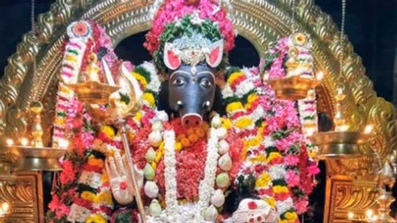 இன்று ஆடி மாதம் தேய்பிறை பஞ்சமி.. வாராஹி அம்மனை இப்படி வழிபடுங்க..கேட்டது கிடைக்கும்!