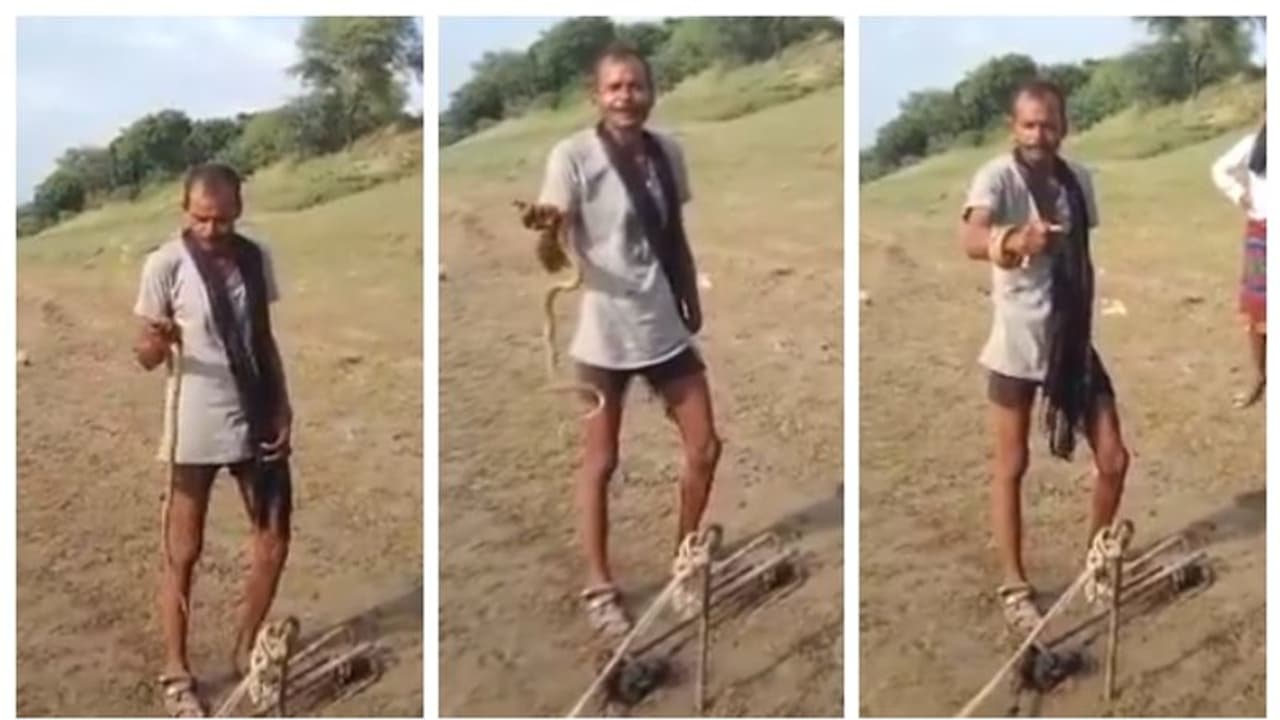 എന്തൊക്കെ കാണണം?; യുപിയില്‍ നിന്നും ജീവനുള്ള പാമ്പിനെ കടിച്ച് തിന്നുന്നയാളുടെ വീഡിയോ വൈറൽ