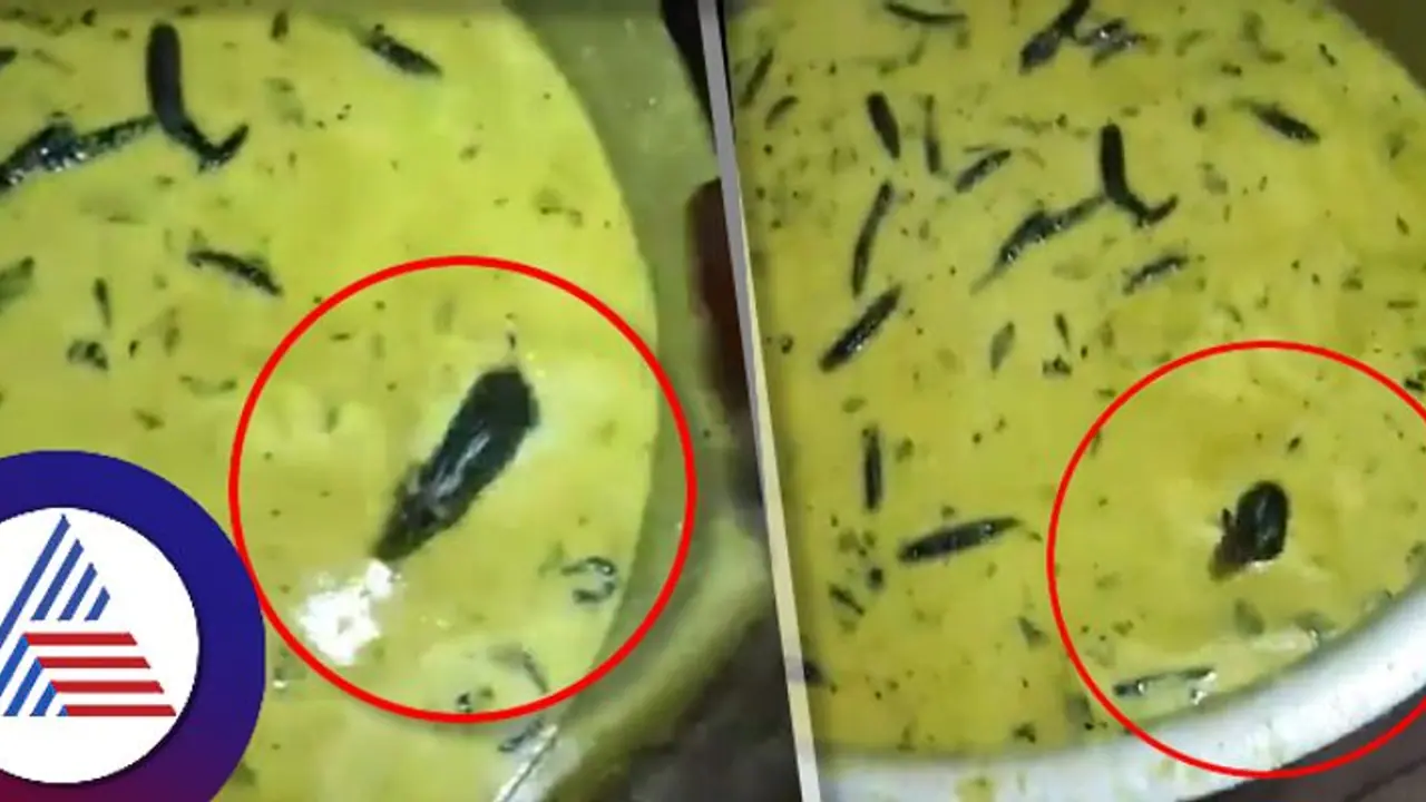 ವಿದ್ಯಾರ್ಥಿಗಳಿಗೆ ಸಿದ್ಧಪಡಿಸಿದ್ದ ಚಟ್ನಿಯಲ್ಲಿ ಮುಳುಗೇಳುತ್ತಾ ಈಜಾಡಿದ ಇಲಿ: ವೀಡಿಯೋ ವೈರಲ್