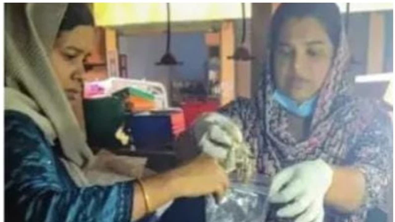 ഇതല്ലെ കഴിക്കുന്നത്! ആരോഗ്യവിഭാഗം നാദാപുരത്തെ വീട്ടുവളപ്പിലെ പരിശോധനയിൽ കണ്ടത് ഉപയോഗിക്കാനാകാത്ത മീനും ഐസും